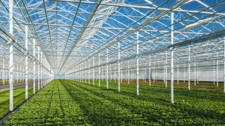 El nuevo evento se celebrará los días 23 y 24 de septiembre de 2026 en Filadelfia, con foco en horticultura sostenible y de alta tecnología Greentech North America.png